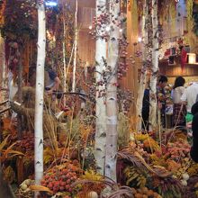 ドライフラワーの舎。