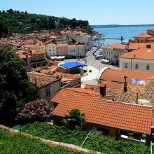 聖ユーリ教会脇の道から見たタルティーニ広場あたり。