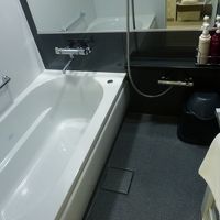 広い浴槽と洗い場が魅力