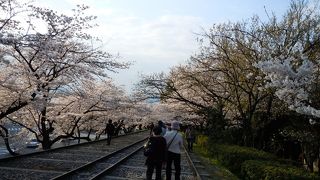 何度も往復しました