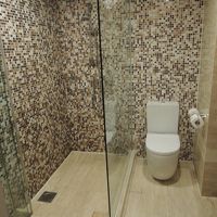 バスルームに入ってすぐにシャワーブースとトイレです