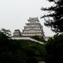 三の丸東　動物園近くから