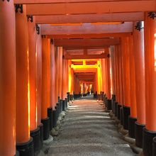 一本だけ金色に輝く鳥居がありました！