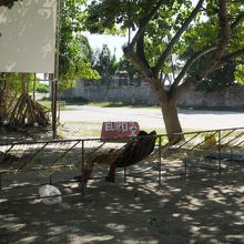 気持ち良さそう〜