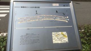 緑道の整備が嬉しい