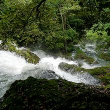 つくばねの滝