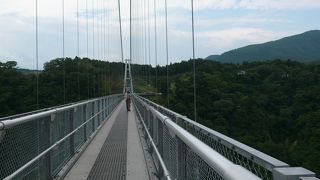 九重大吊橋から震動の滝が見えるようになってました