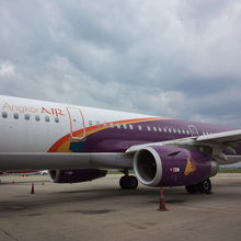 タイ航空のような紫の機体