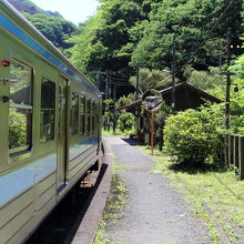 列車の窓に写る緑にも静けさを感じます。