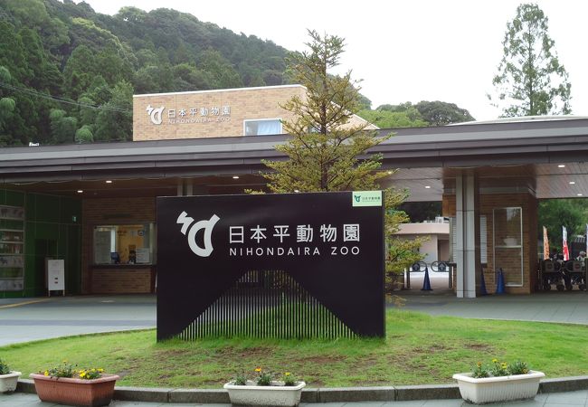静岡市立日本平動物園 クチコミ アクセス 営業時間 静岡市 葵区 駿河区 フォートラベル 静岡市立日本平動物園 クチコミ アクセス 営業時間 静岡市 葵区 駿河区 フォートラベル