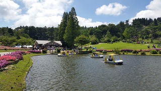 夏でも快適な広い高原