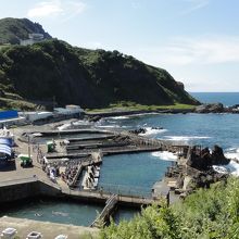 隣の水族館がよく見える