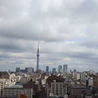 部屋からはスカイツリーが見えました