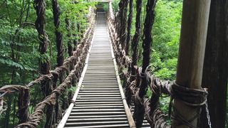 奥かずら橋は秘境感あり