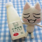 美味しい乳製品のオンパレード