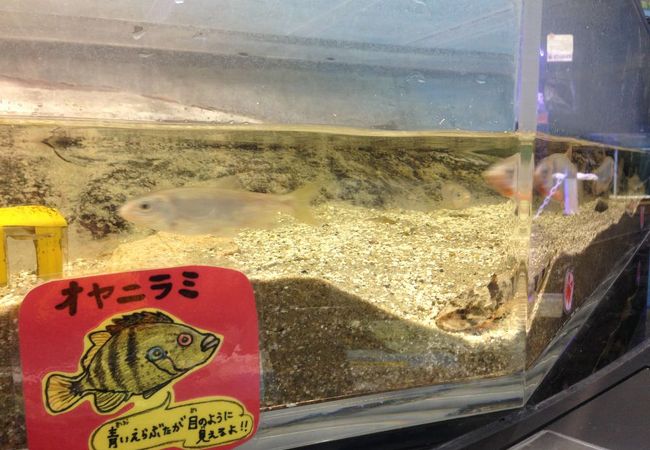 筑後川防災施設 くるめウス クチコミ アクセス 営業時間 久留米 フォートラベル 筑後川防災施設 くるめウス クチコミ アクセス 営業時間 久留米 フォートラベル