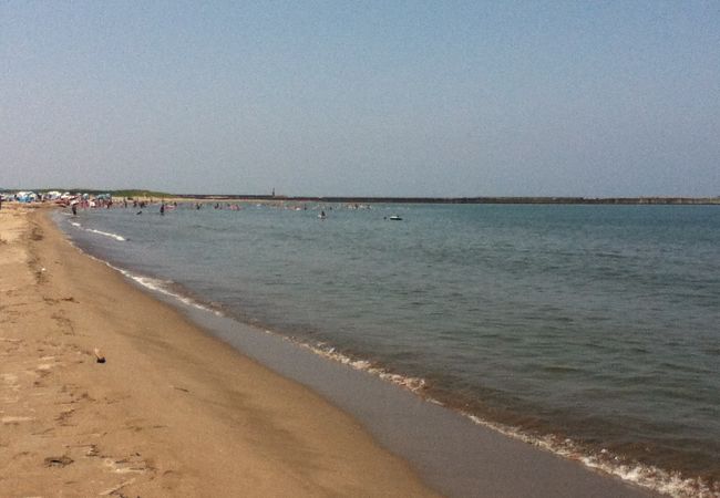 海水浴と桜貝♪