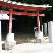 県指定のトチノキが境内にある神社