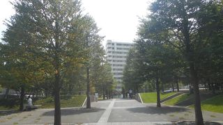 サラリーマンの憩いの場