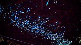 スペルバウンドのツアー