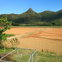 山側だったので眺望は野底岳