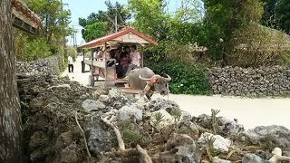 天然の巨大迷路