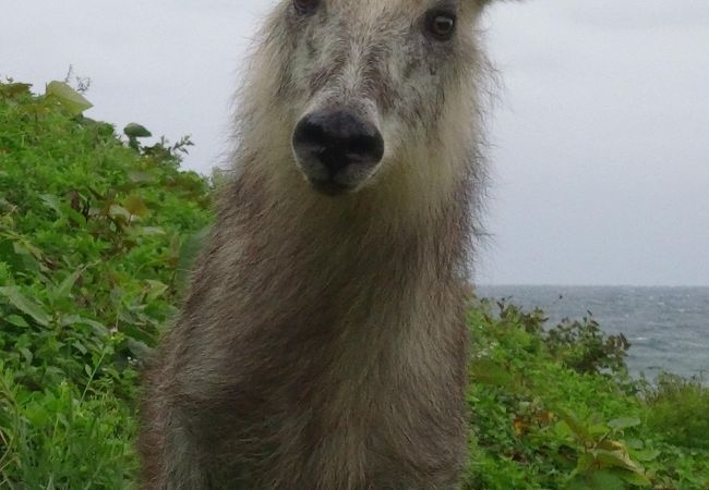 愛宕山公園