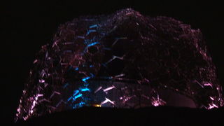 雨の六甲枝垂れ