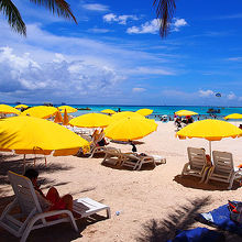 イメージカラーはイエロー