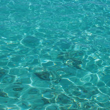 見よ！この透明度。