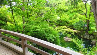 じっくり見学したい名城