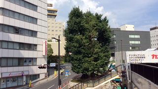 ビルの谷間に………