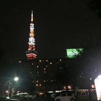 東京タワーが見えます