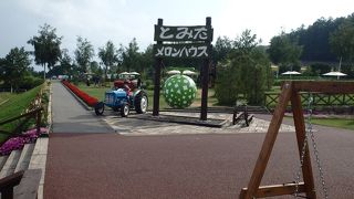 メロンの半切り