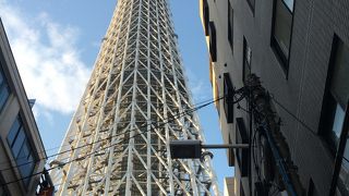 東京にきたらココ！