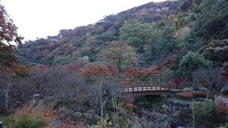 紅葉も綺麗な公園