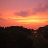 ガーデンタワー　デラックスシービュー　5Ｆより