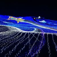 東日本最大級のイルミネーション