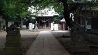 神社そのものも見所は多いですが、付加価値もあります。