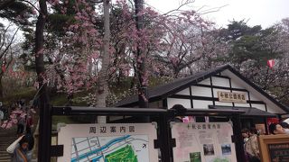 佐竹家の城跡を公園にしたもの