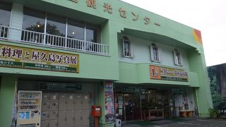 屋久杉を使ったお土産はこちらで