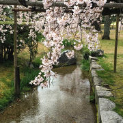 京都駅からすぐの日本庭園