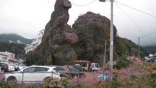 たしかにゴリラです！