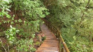 コースによっては軽いハイキング程度ですむ