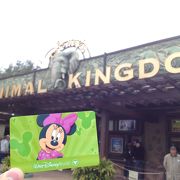 WDWならでは