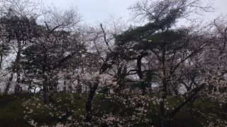 程野村窪田に築いた城