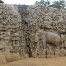 躍動感がすご過ぎ。うじゃうじゃインド バロック岩