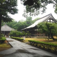 大本山 善導寺 