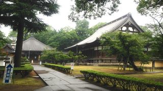 大本山 善導寺 