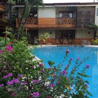 お庭。夜には電飾されたプールになります